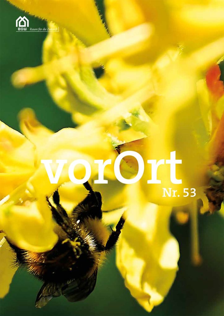 „BGW vorOrt“ Nr. 53